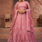 Net Flared Lehenga with Elegant Design Detailing