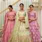 Net Flared Lehenga with Elegant Design Detailing